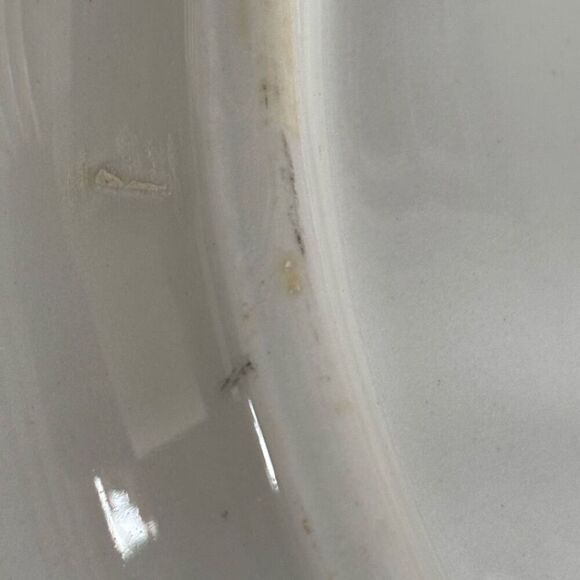 Jackson China B.P.O.E. 349 Elks Lodge DuBois Pa Sectional 10 1/2”  Plate - Picture 8 of 9